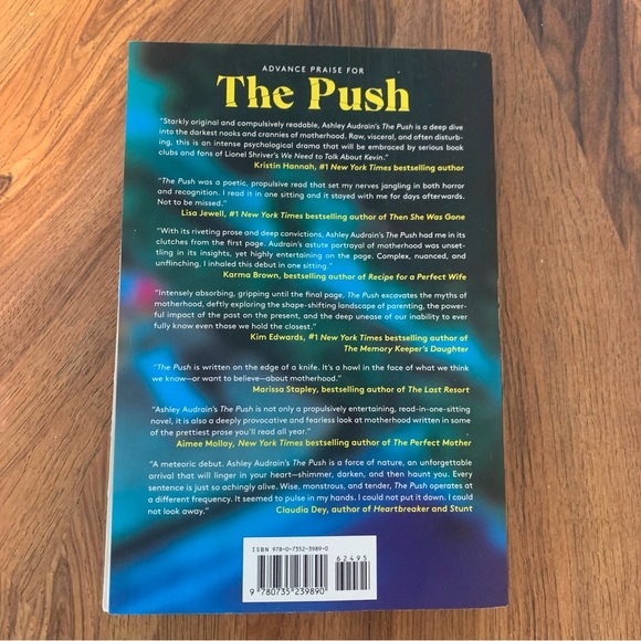 📚2/$12📚 Novel Thriller The Push by Ashley Audrain - Picture 2 of 3